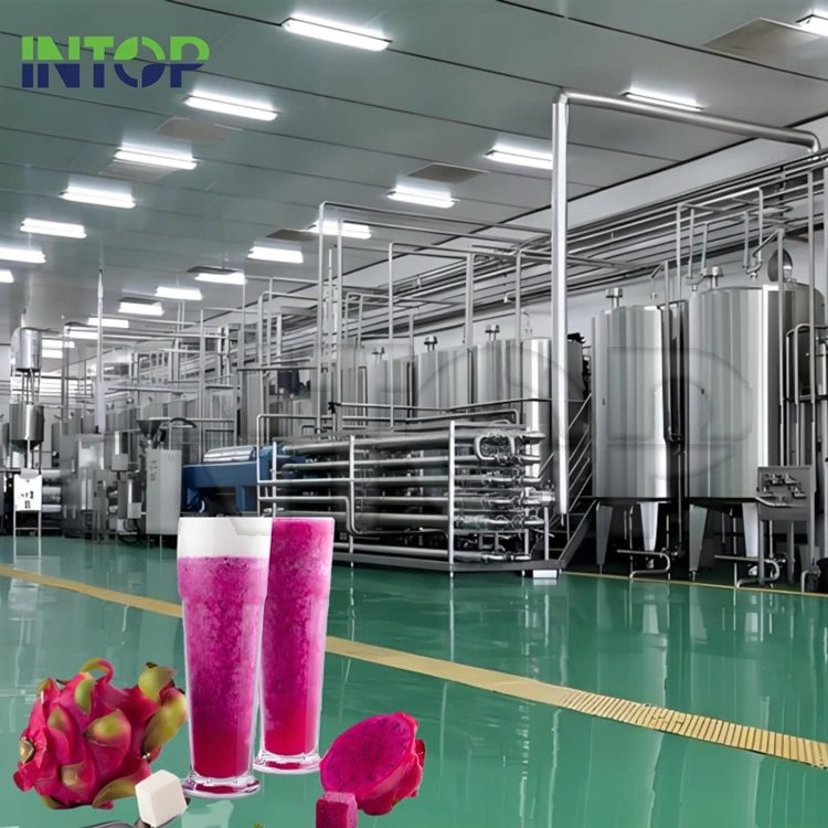 Ligne de production de jus de fruit du dragon