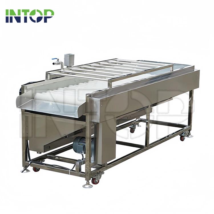 Machine à laver à rouleaux de brosse à fruits et légumes