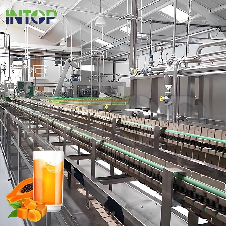 Ligne de production de jus de papaye