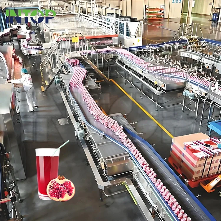 Ligne de production de jus de grenade