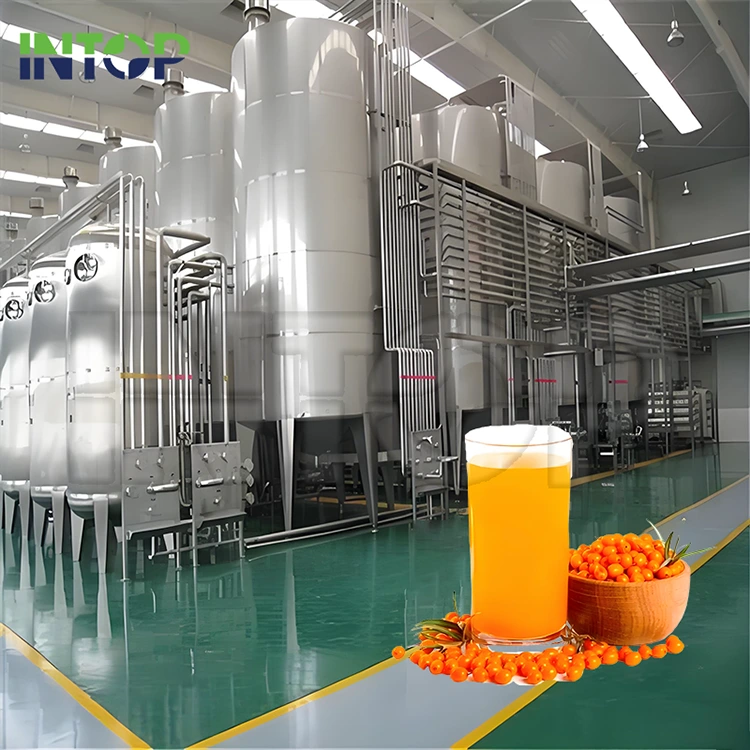 Ligne de production de jus d'argousier