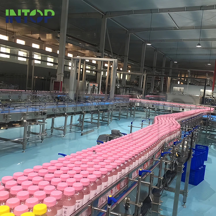 Ligne de production de jus de fraise